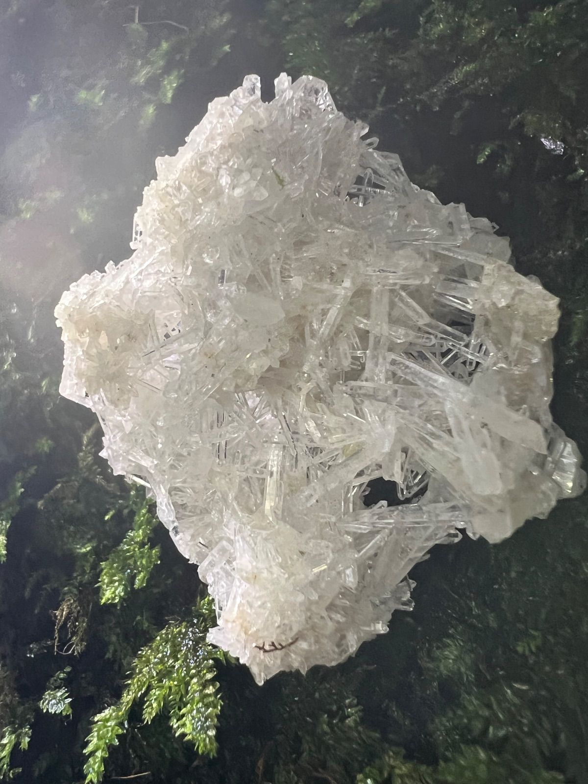 龍脈の精髄 ― クラスター 「聖域を生む結晶の調和」 宮崎県産