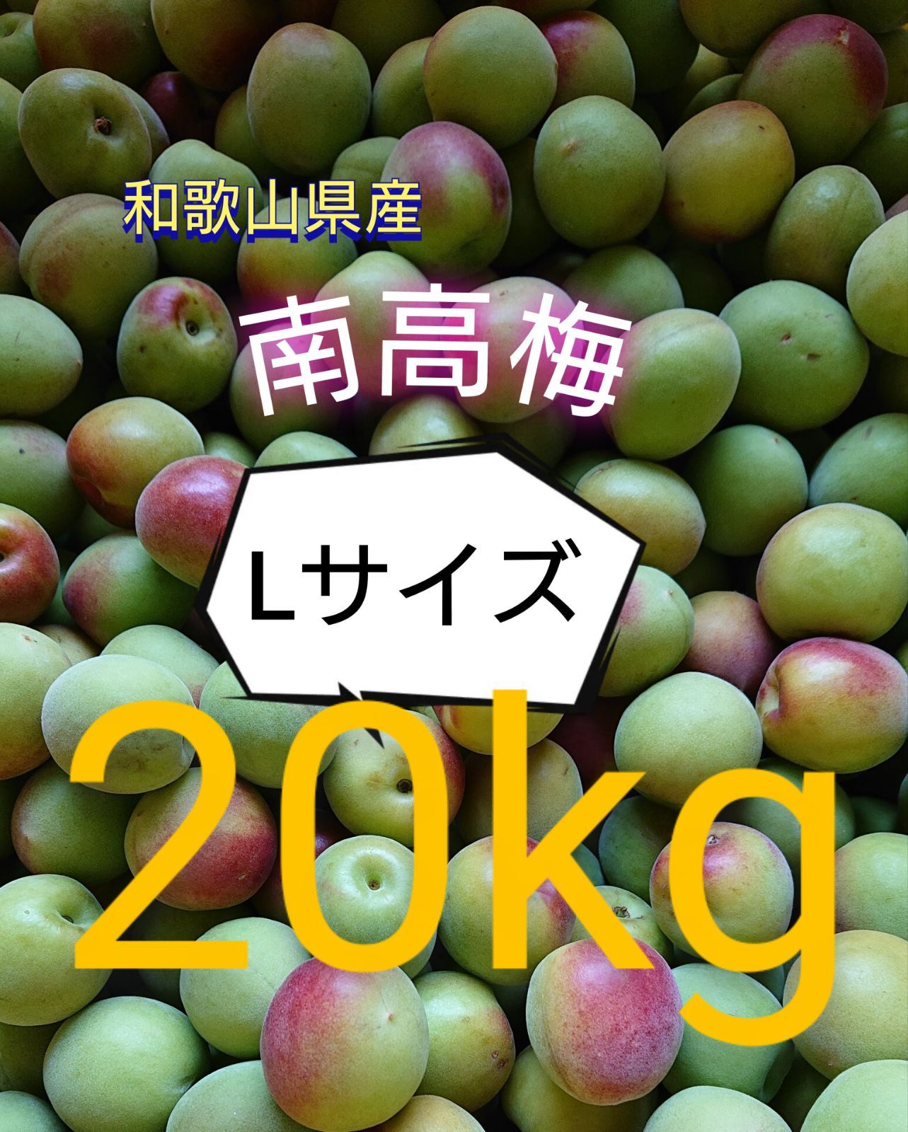 南高梅 Lサイズ 20kg 家庭用和歌山県産