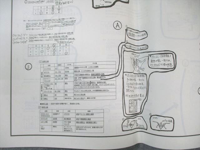 駿台 冬の共通テスト地理B【旧課程対応】 【計4回分】 2024 冬期