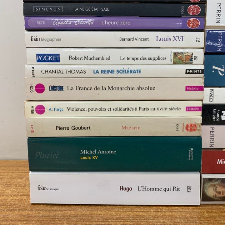 ■01)【同梱不可】フランス語の本・ペーパーバックなど まとめ売り約35冊大量セット/洋書/政治/歴史/ルイ15世/社会/民主主義/C 01)【同梱不可】フランス語の本・ペーパーバックなど まとめ売り