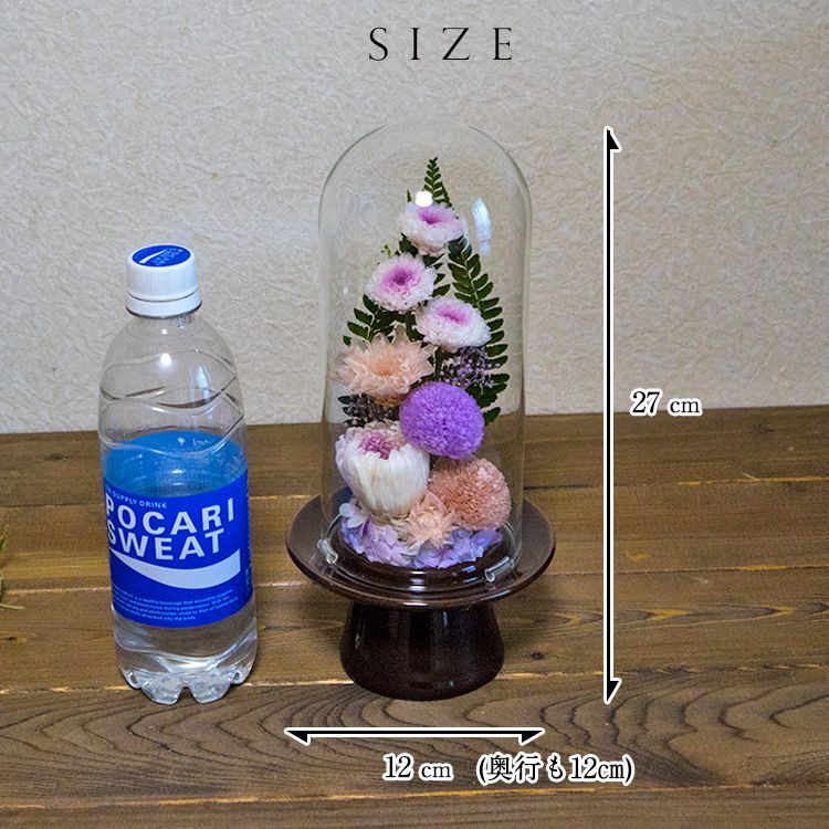 ガラスドームで長持ち 白紫