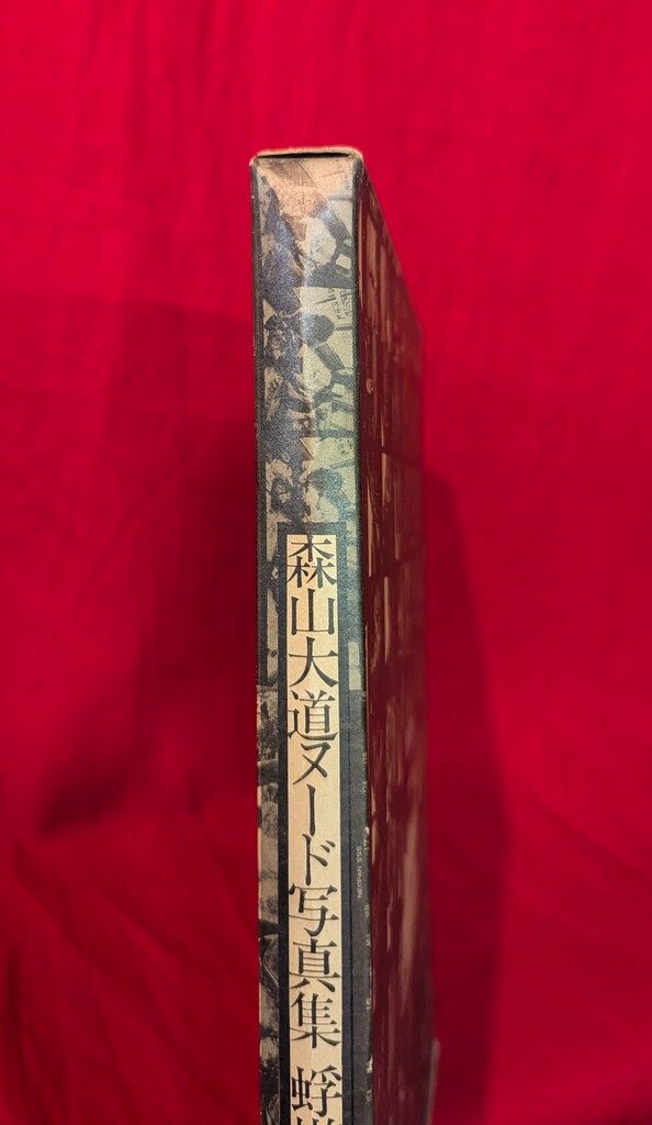 森山大道 蜉蝣