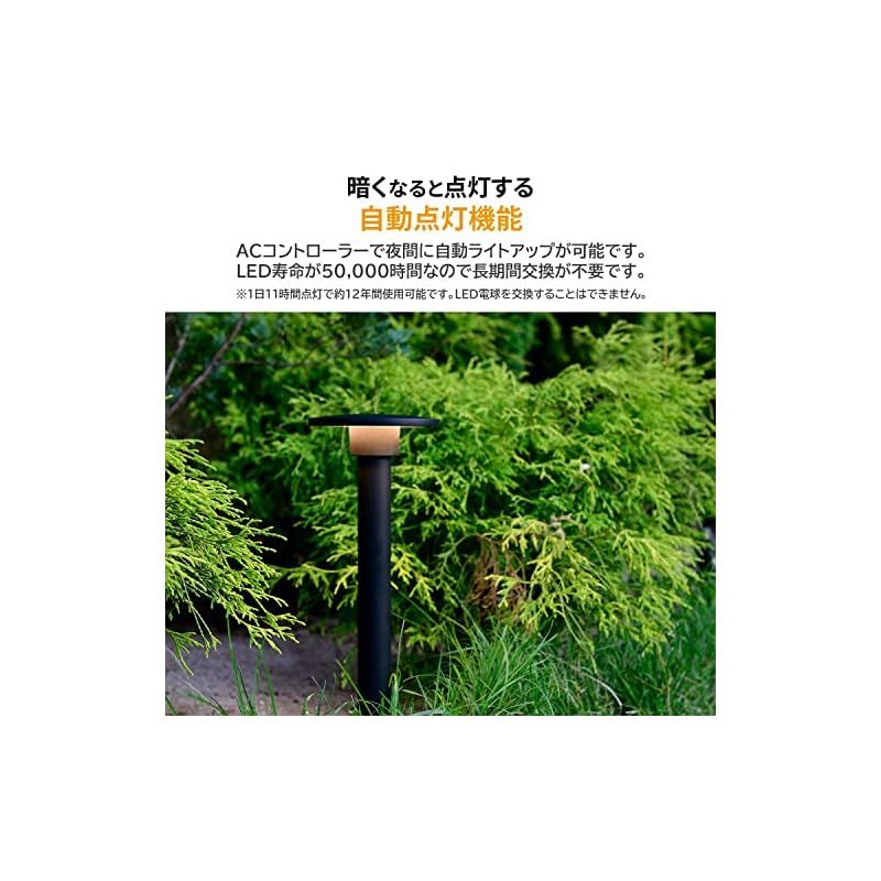 ⭐️サンダ一ライトニング⭐️【コインで遊べます。】即購入可能 Amazon | 雑貨の国のアリス インゴット風ライター 金塊 純金