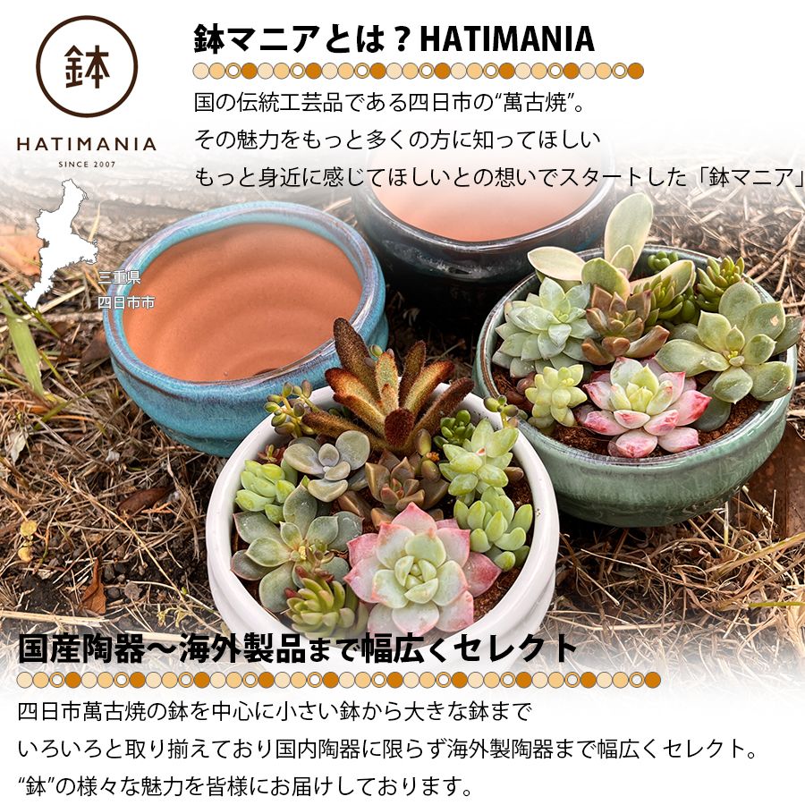 HATIMANIA 盆栽鉢 3号 1006W 鉢マニア グリーン 鉢づくし ミニ盆栽