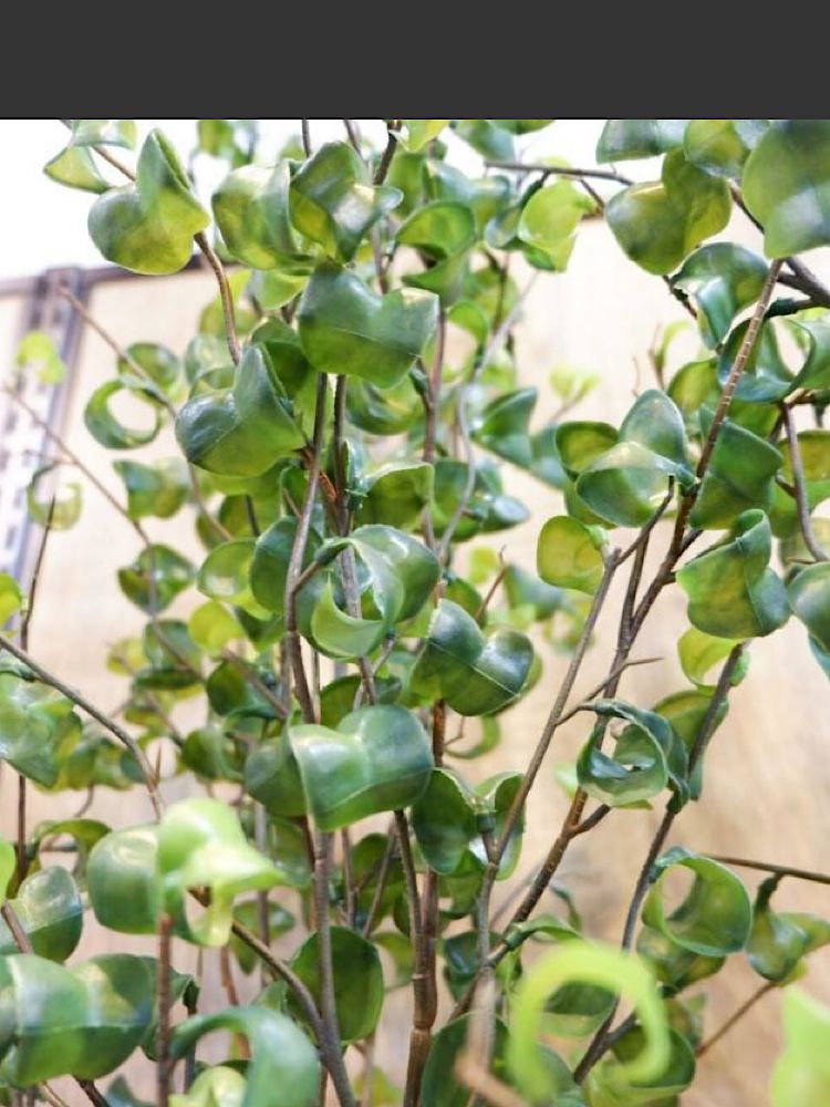 光触媒 人工観葉植物 ウォールグリーン フェイクグリーン 高品質