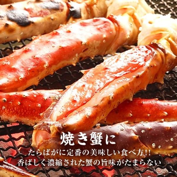 食品 タラバガニ ボイル 5Lサイズ 1kg 本タラバガニ 肩 たらばがに