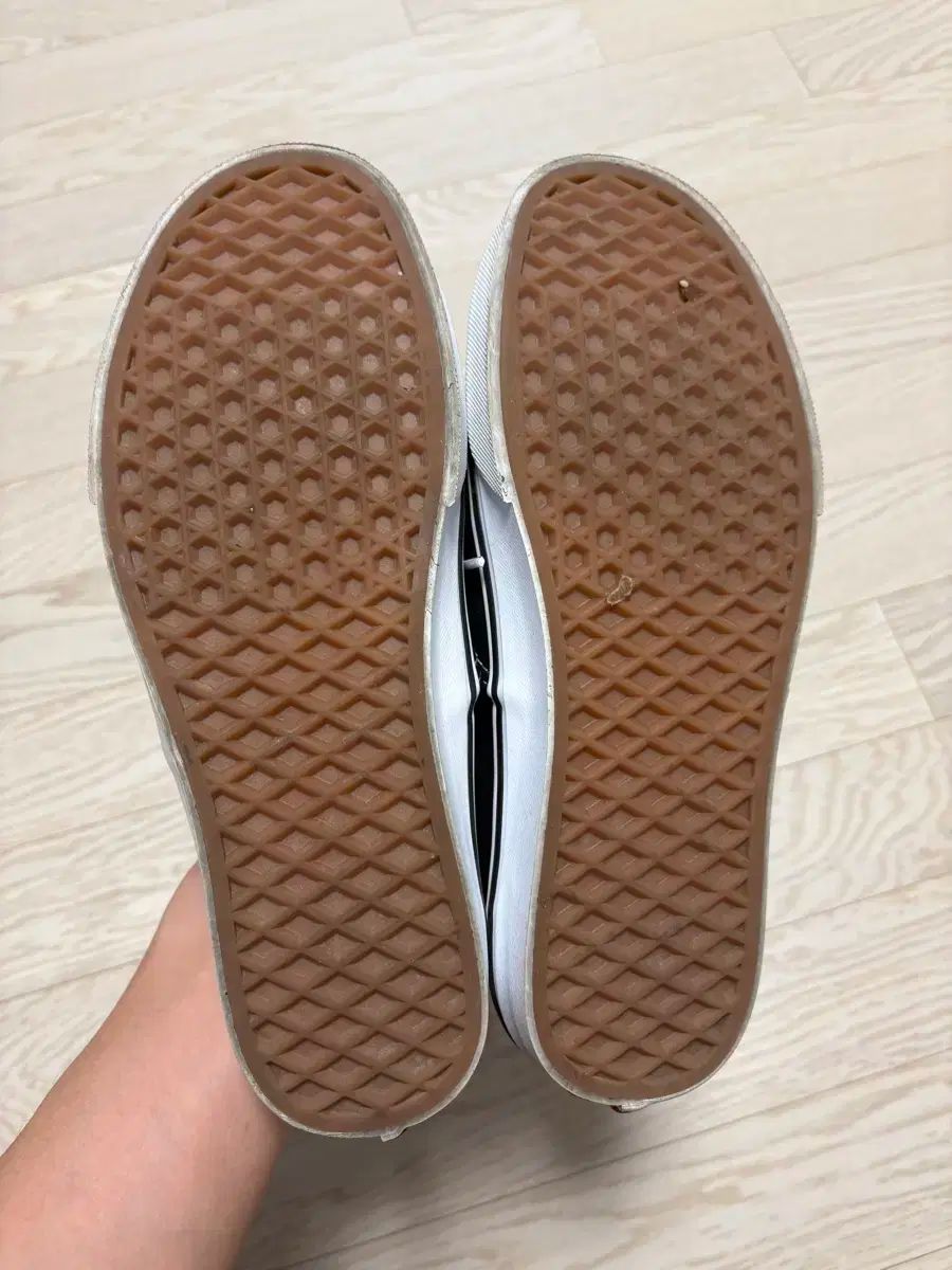 オーセンティック 255