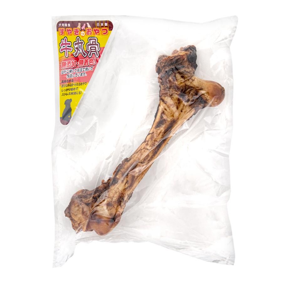 昆虫用品 アクアデザインアマノ（ADA） 「虫音（しおん）」 虫入れ