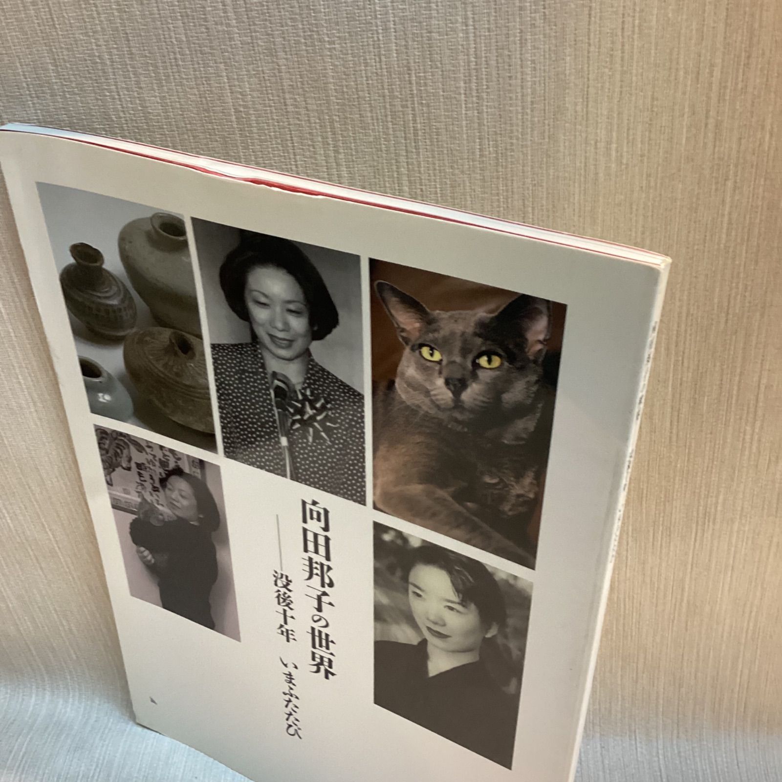 向田邦子の世界 没後十年いまふたたび 図録 - メルカリ