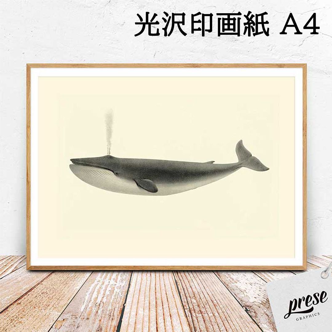 鯨オリジナル絵画
