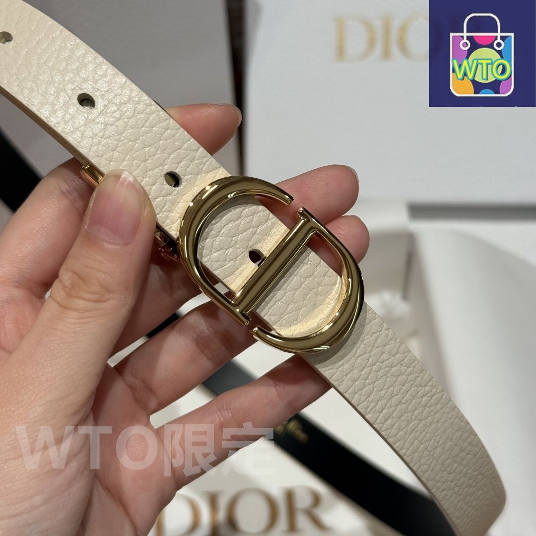 ディオール サドル