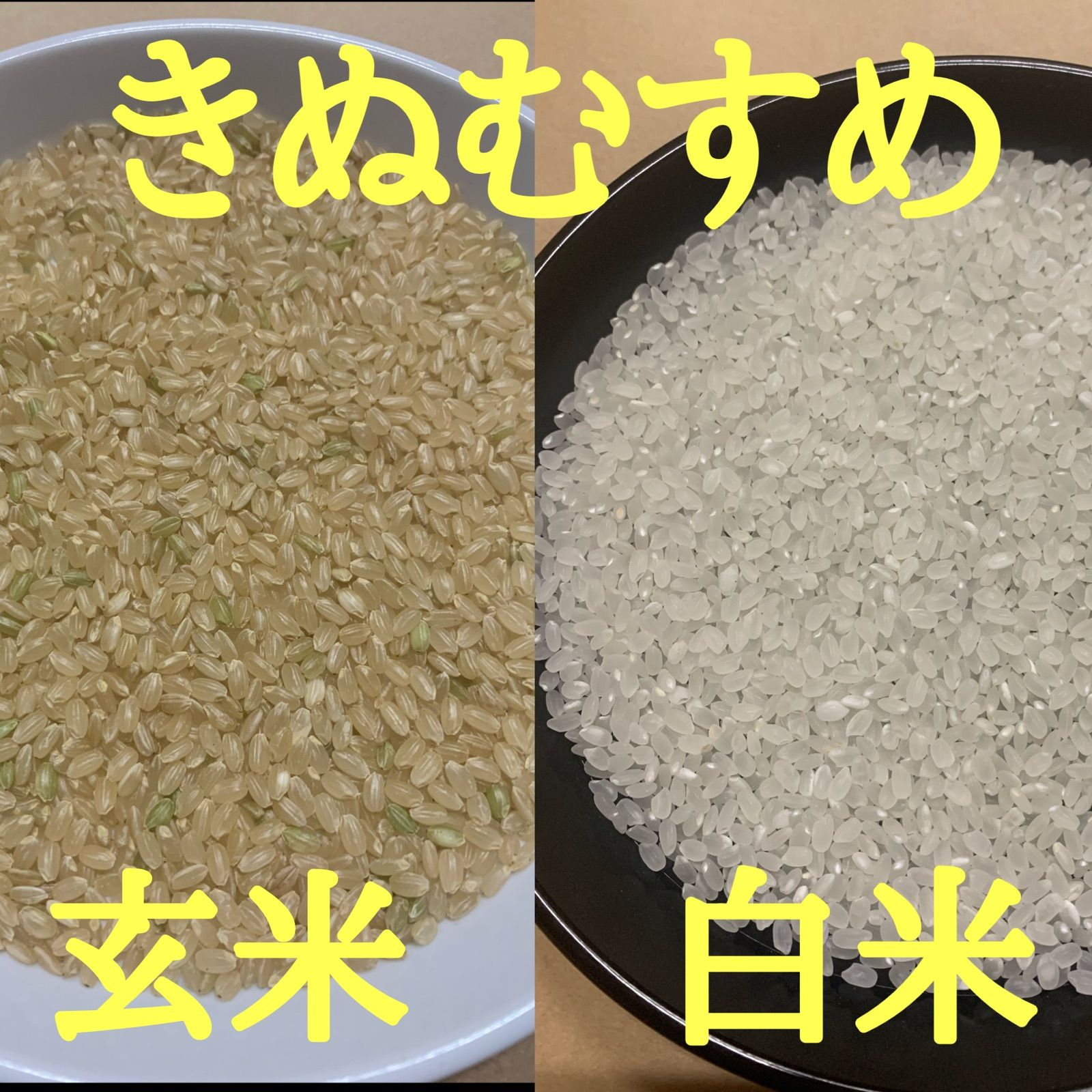 山口県産コシヒカリ玄米　約１ｋｇ　令和４年　ダイエット米　玄米食向き　低ＧＩ食品