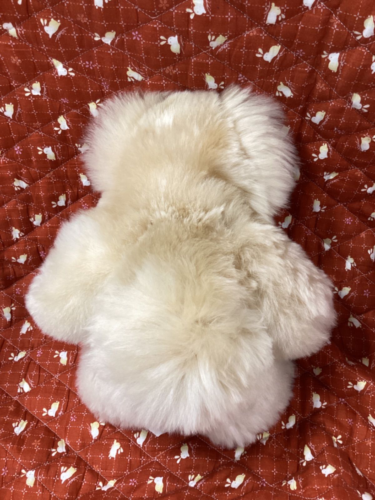 ビンテージ ぬいぐるみ くま ペルー製 AXEL JAPAN 最新の