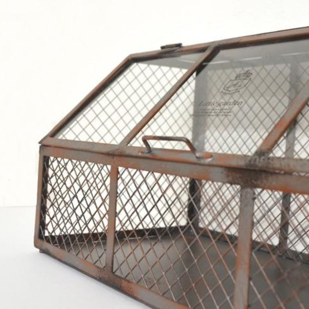 ガーデニング 多肉