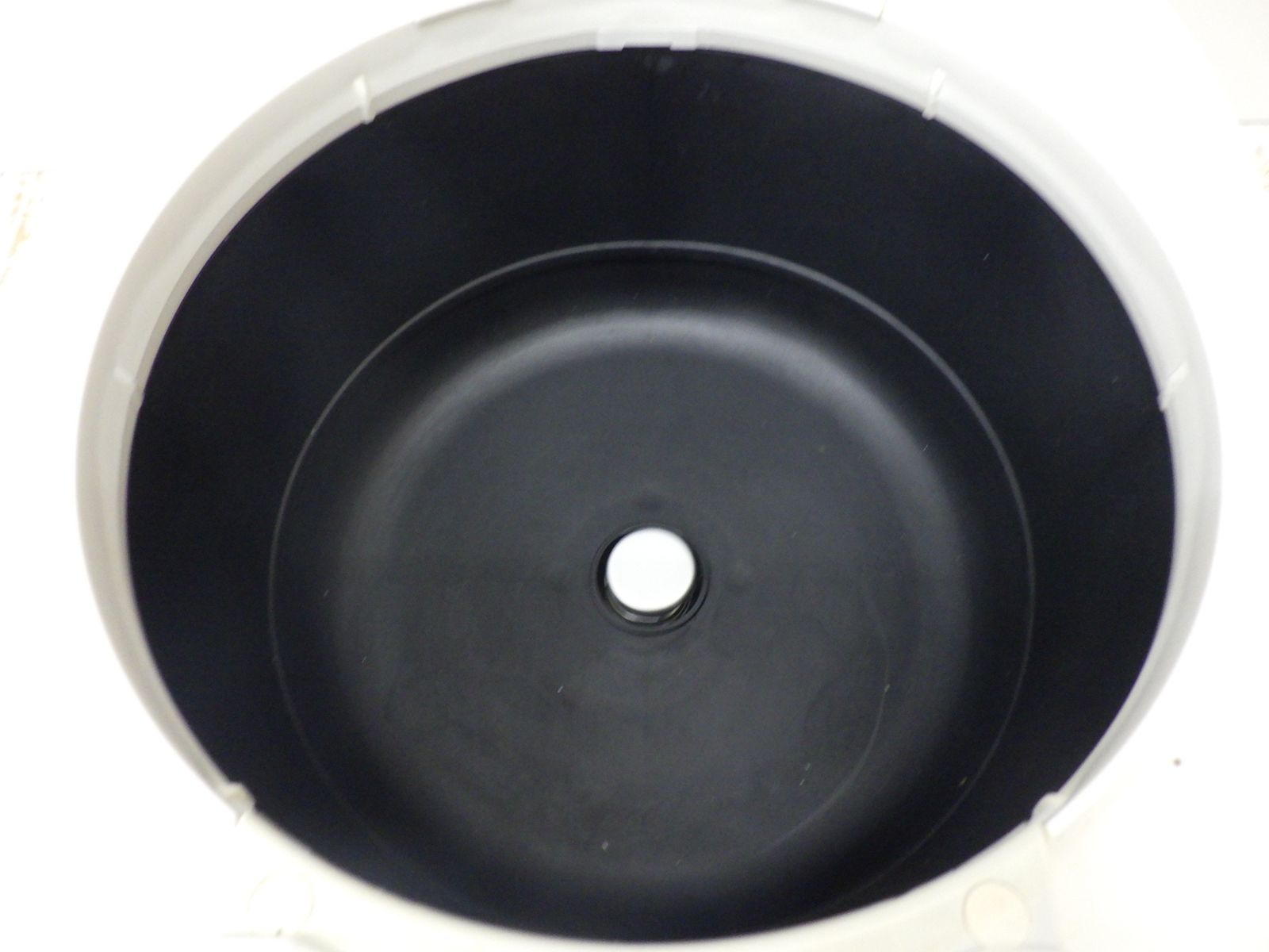 シャンパンホワイト 2020年製