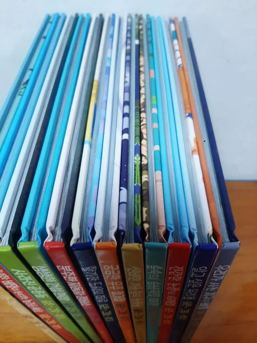 の本 サファリ 隠し絵探し 影 絵本 12巻