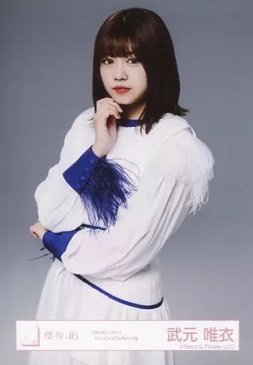 中古】生写真(乃木坂46) 武元唯衣/上半身/櫻坂46ランダム生写真