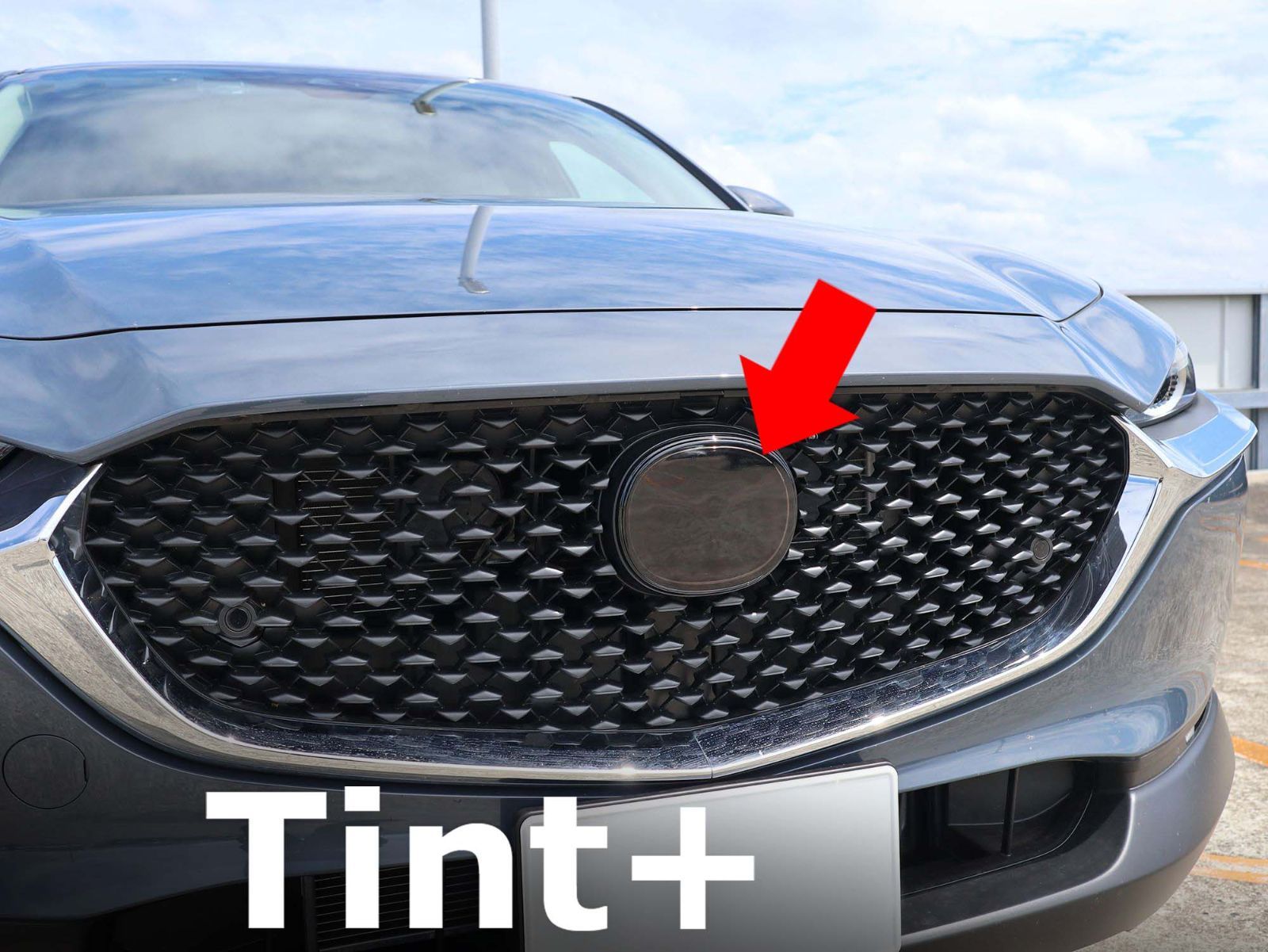 Tint+カット済みエンブレム スモークフィルム(ブラックスモーク5％) CX  