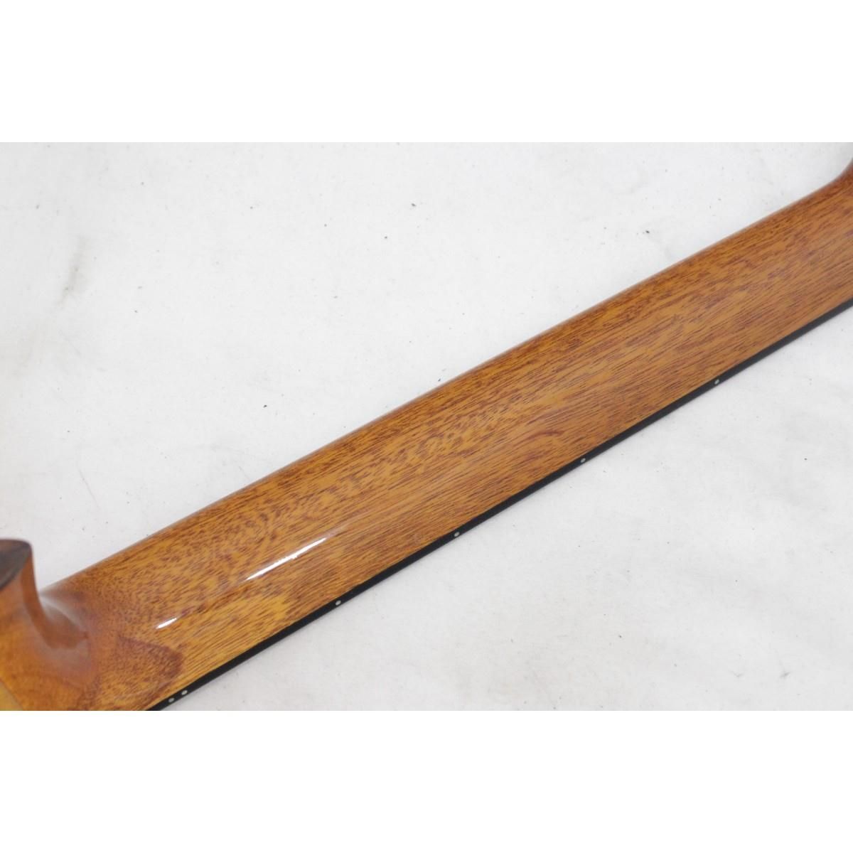  ＭＡＲＴＩＮＥＺ ＭＰ １４ ＭＡＰＬＥ ＡＲＴＩＳＴ アコースティックギター ギター