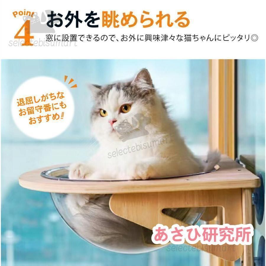 窓
