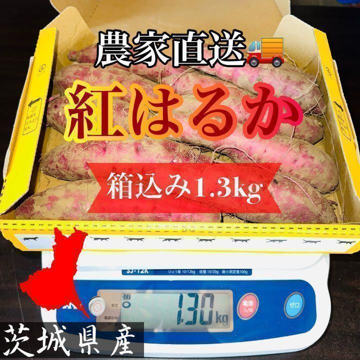 茨城県産紅はるか100キロ じゅん様専用品 horizonte.ce.gov.br