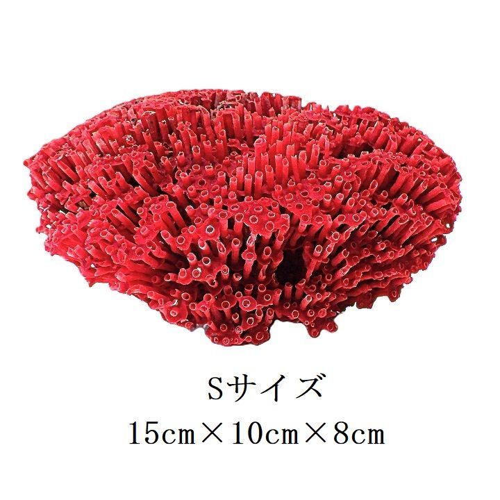 珊瑚　珊瑚礁　赤珊瑚　パイプオルガン珊瑚　置物 サンゴ礁 珊瑚礁 パイプオルガン珊瑚 珊瑚 サンゴ 赤珊瑚 管珊瑚
