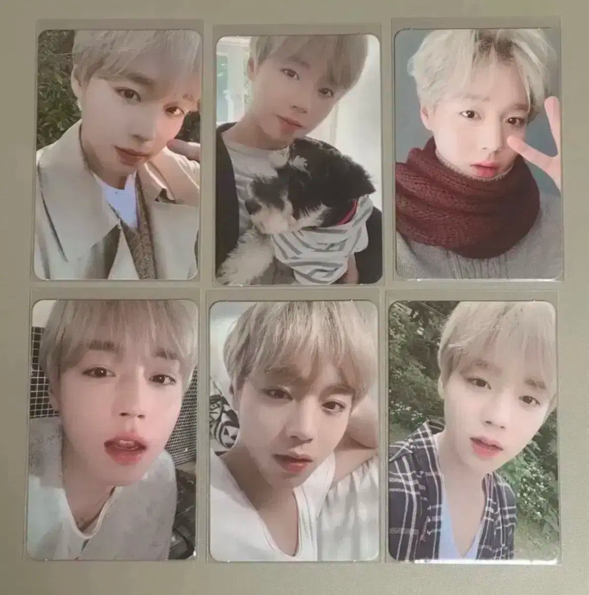 パク・ジフン(PARK JIHOON) トレカ まとめ売り パクジフン MY