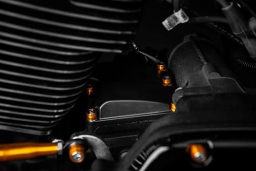 CHACHOS ビレットエンジンボルトキット 1999〜17年ツインカム ブルー DECORATOM_COM_BR