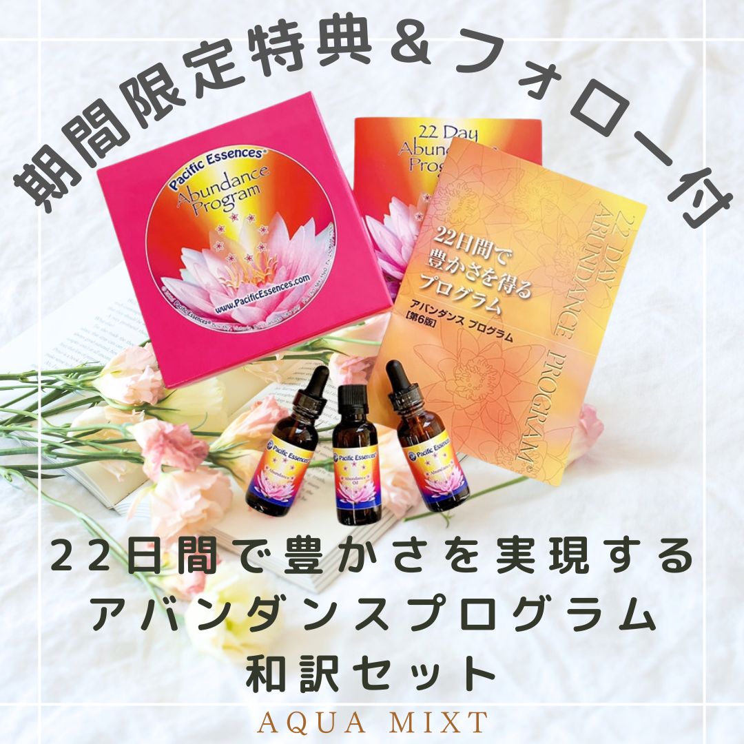 期間 特典付 アバンダンスプログラムセット