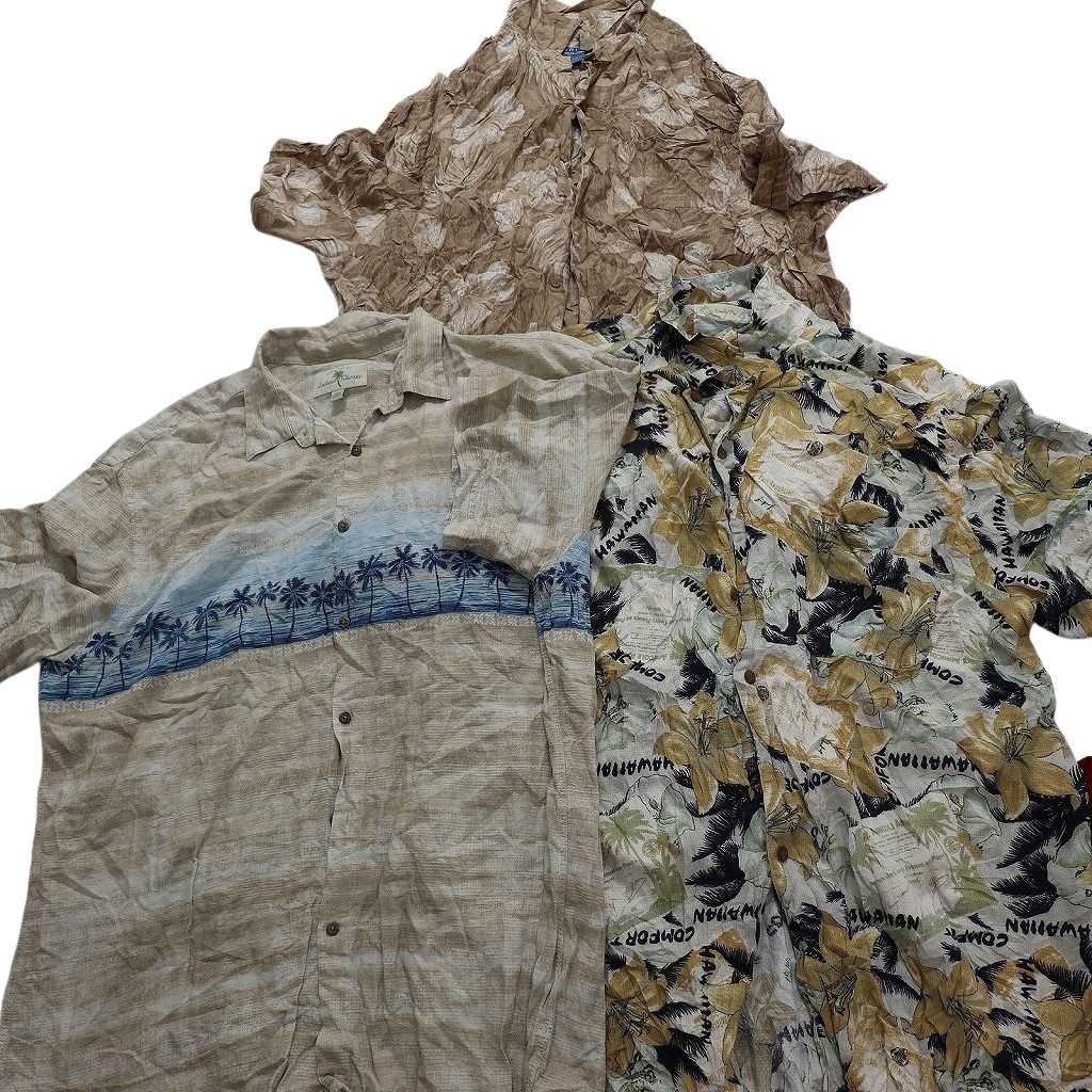 2XL パームツリー
