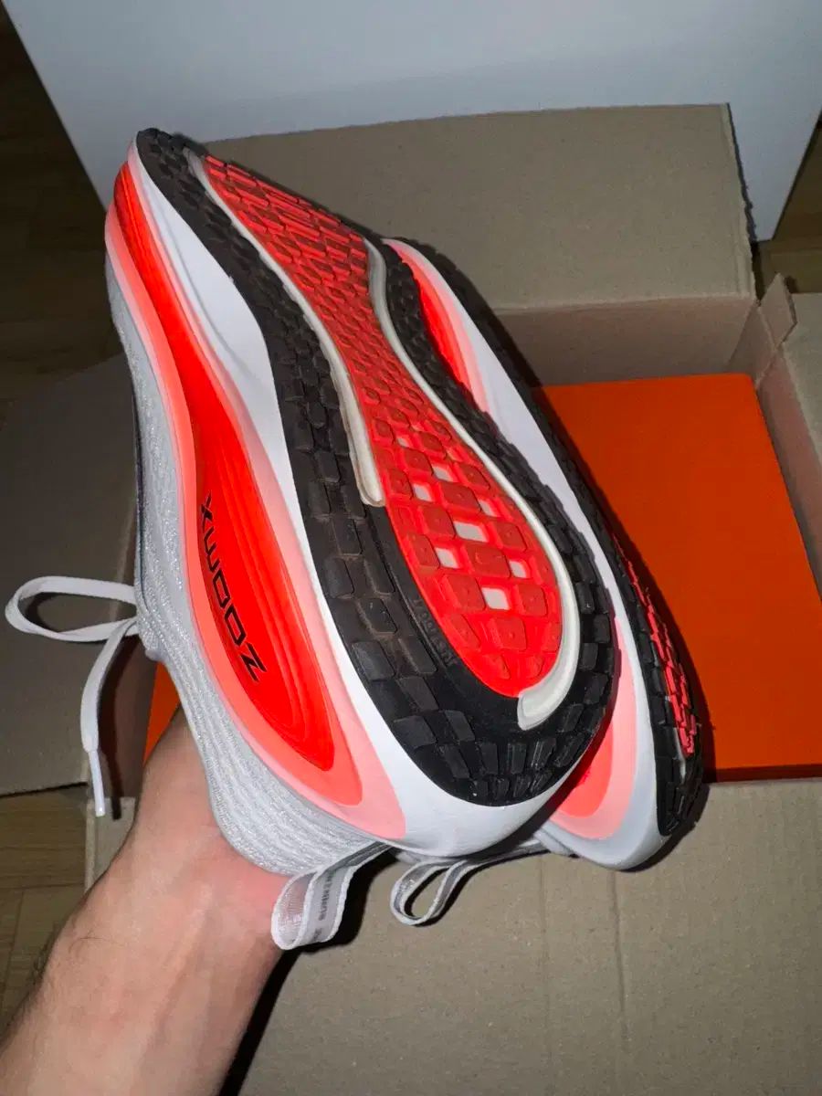 即決特価！】☆ビオライズ・リナーシェ＆ビオライズブラウンセット