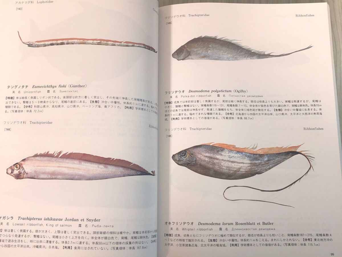 北日本魚類大図鑑 3-#普及版 北日本魚類大図鑑 尼岡邦夫 仲谷一宏 矢部衞 1997年