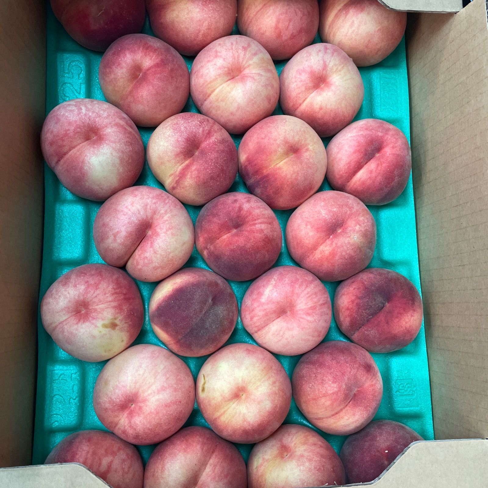 山形産 陽夏妃桃 5kg箱 固め中間種 傷打身など