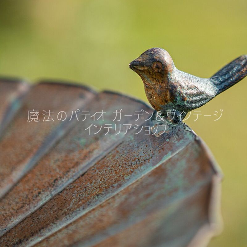 お洒落