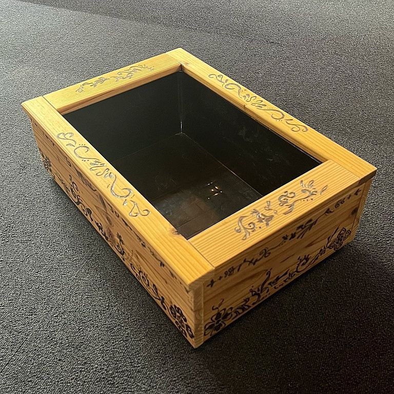 一点もの メダカ水槽