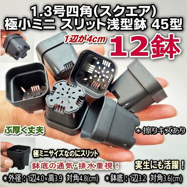 一辺4cmスリット鉢で最小-1.3号四角(スクエア)極小ミニスリット浅型鉢