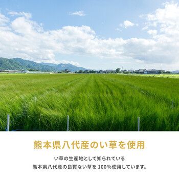 い草 純国産上敷き 江戸間6畳 引目織 琥珀 こはく MARWIL-DEMENAGEMENTS_CH