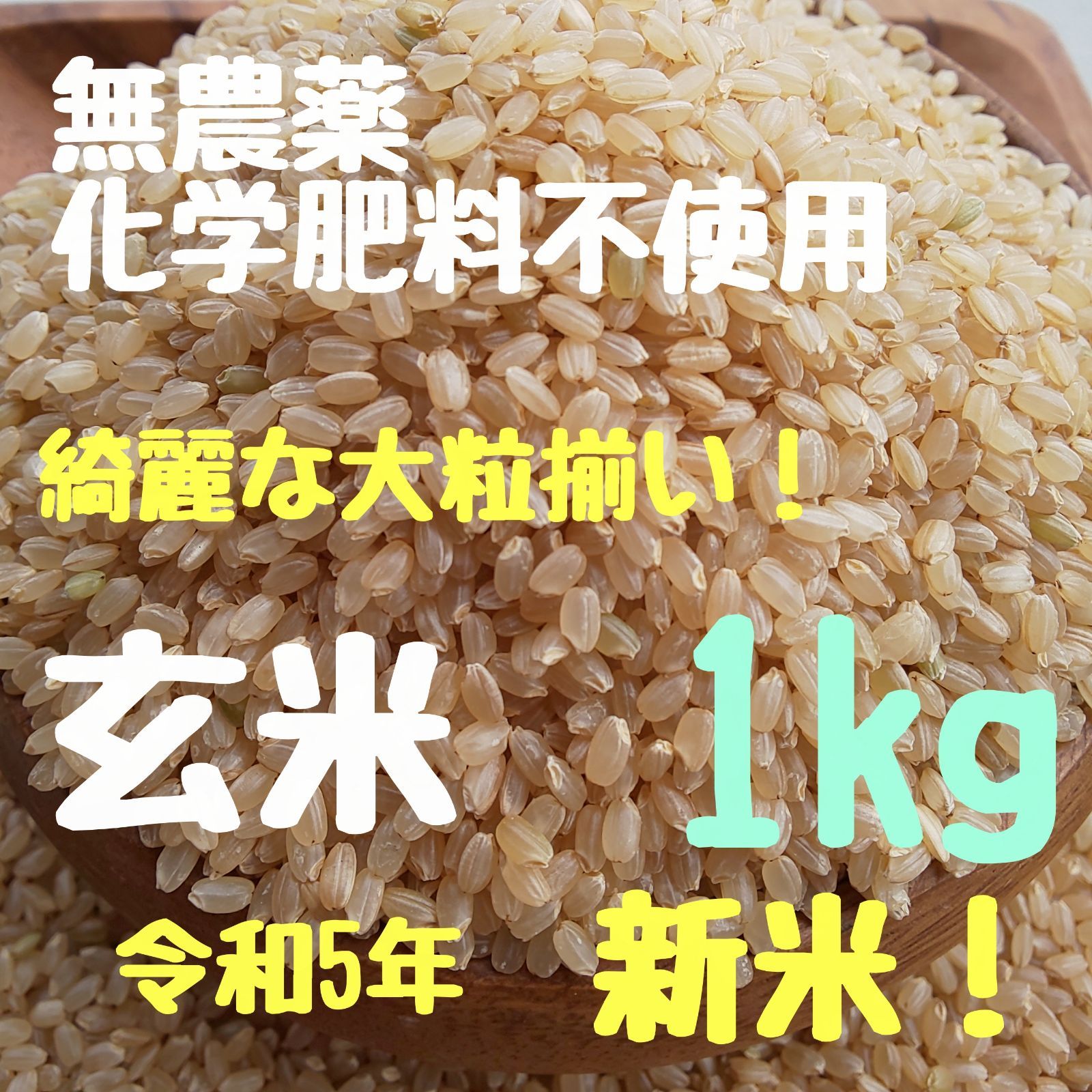 自然栽培米 農薬不使用 無除草剤 無化学肥料 大粒 令和5年 新米 玄米⚫無農薬玄米20kg