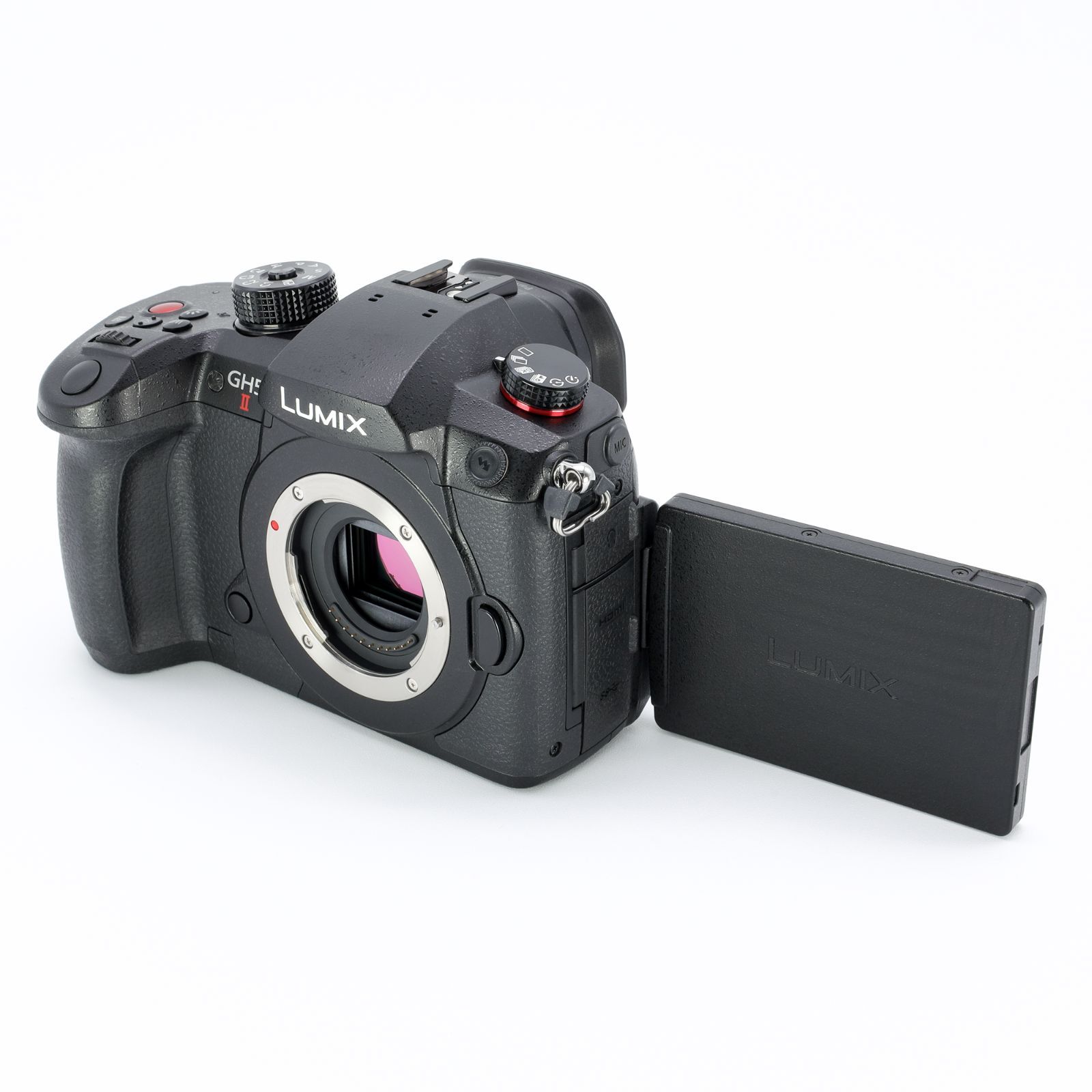 Panasonic パナソニック LUMIX GH5 II ミラーレス一眼カメラ 標準ズームレンズキット DC-GH5M2M ズームレンズ _GP00012460