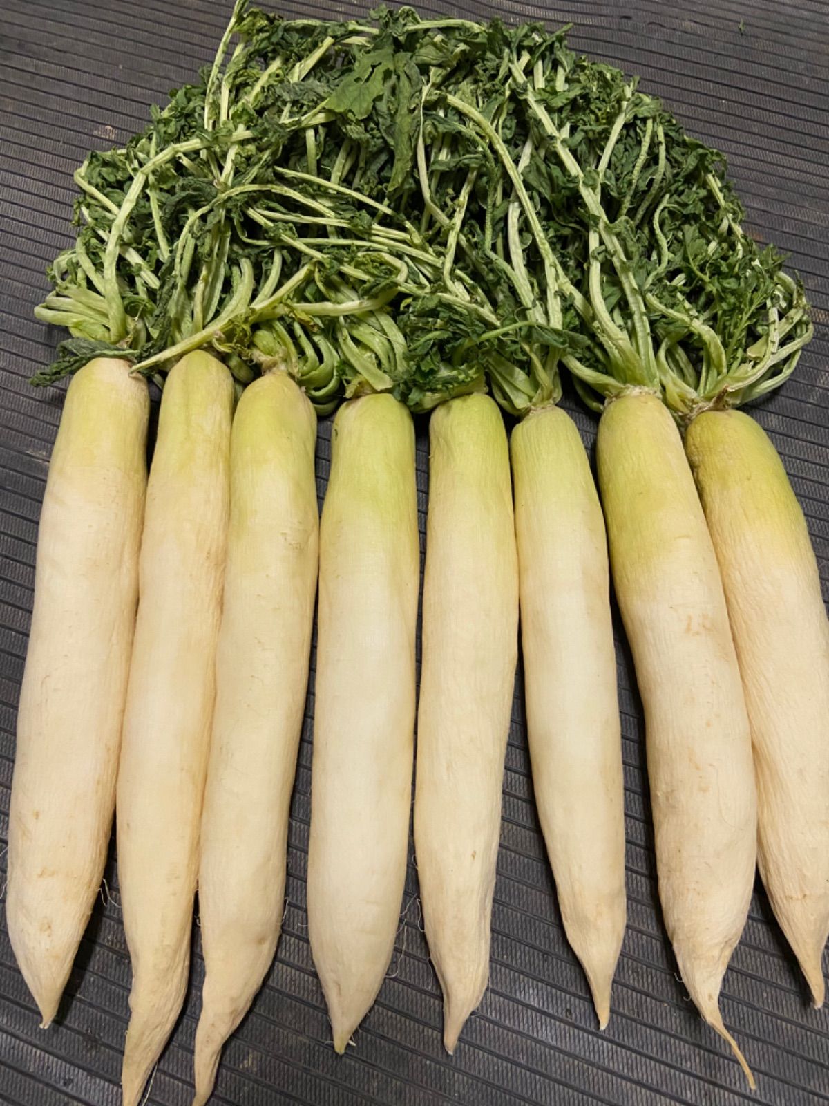 定番100%新品干し大根　葉っぱ付き　20キロ　広島県産 野菜