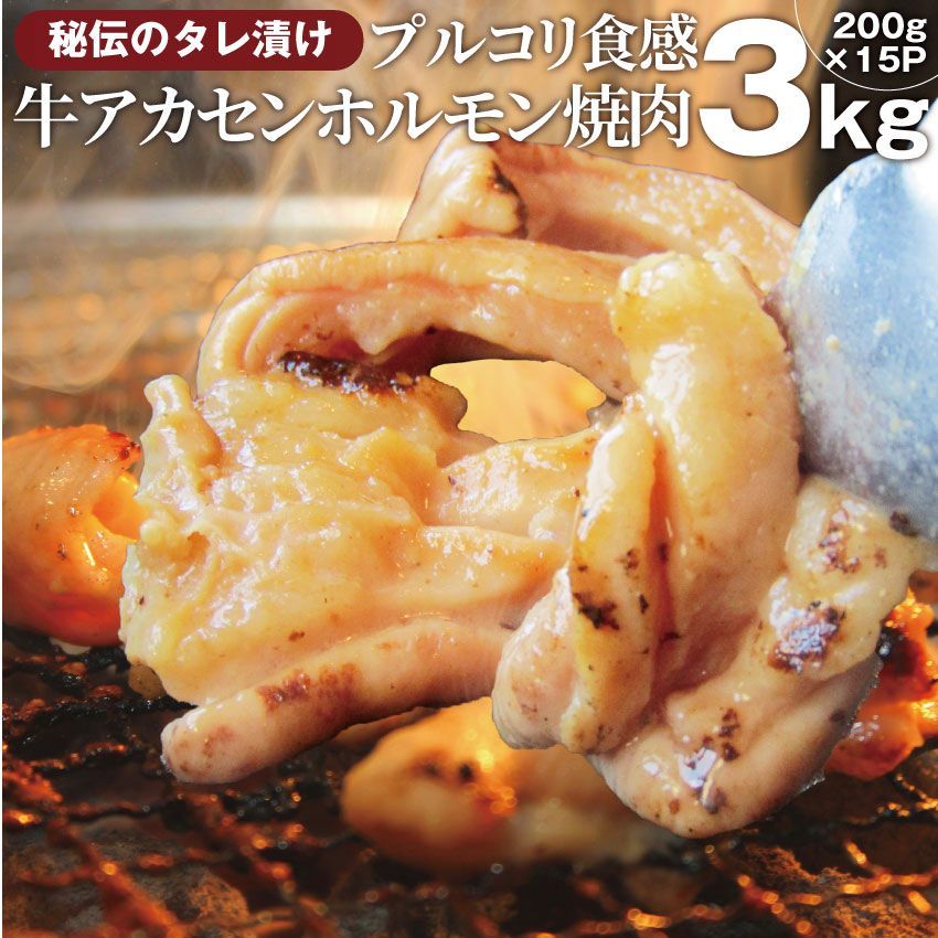焼肉 牛肉 肉アカセンホルモン3kg200g×15袋タレ漬けあかせんギアラぎあら焼くだけ焼肉用BBQキャンプキャンプ飯