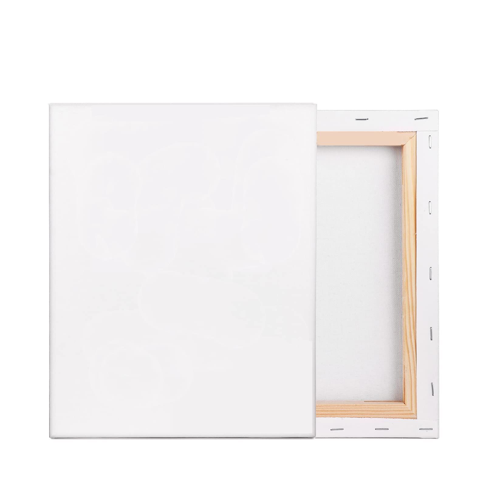 セット キャンバス 2枚 張りキャンバス キャンバス画材 canvas F3 油絵・アクリル絵に適用 (273mm*220mm*2枚)