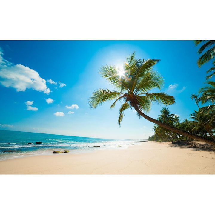 絵画風 壁紙ポスター (はがせるシール式) ハワイ マウイ島 ビーチ パームツリー 海 キャラクロ BCH-053W1 (ワイド版 921mm×576mm) ＜日本製＞ ウォールステッカー お風呂ポスター