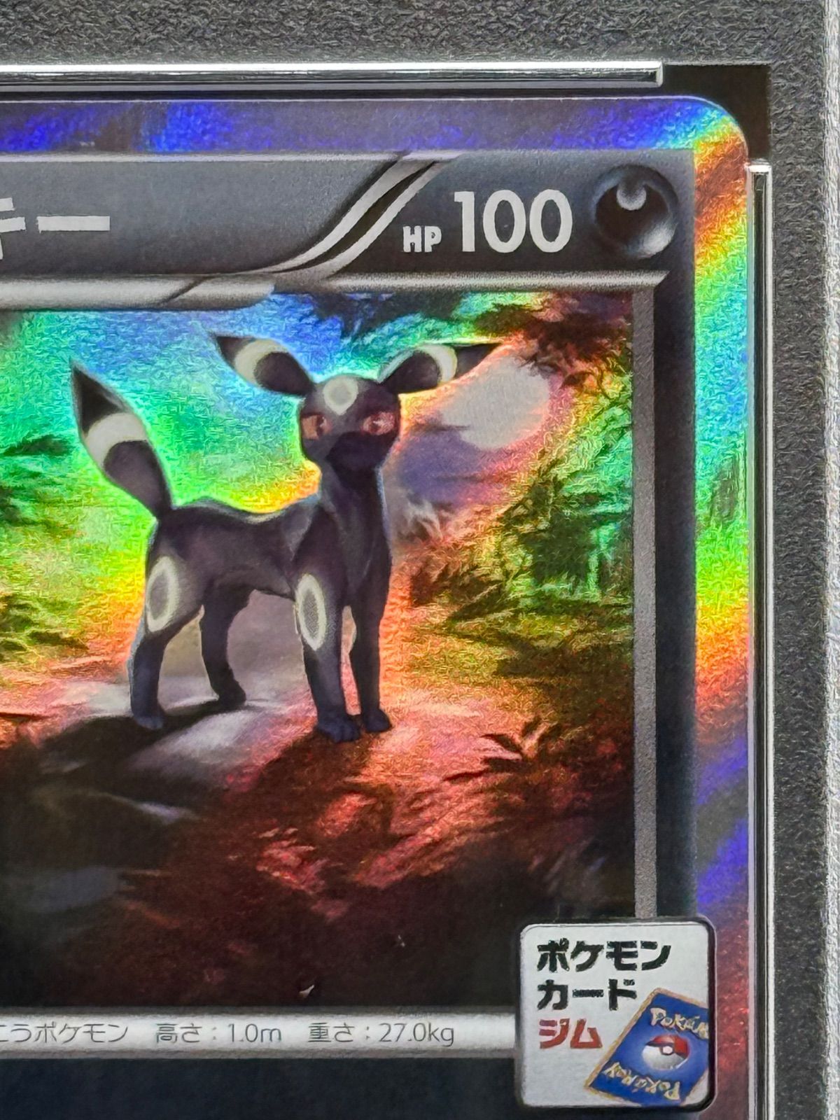 ポケカ　ブラッキー　ナイトバトル　プロモ　PSA10 PSA10鑑定済〕ブラッキー(ブラッキーナイトバトル優勝プロモ)【P