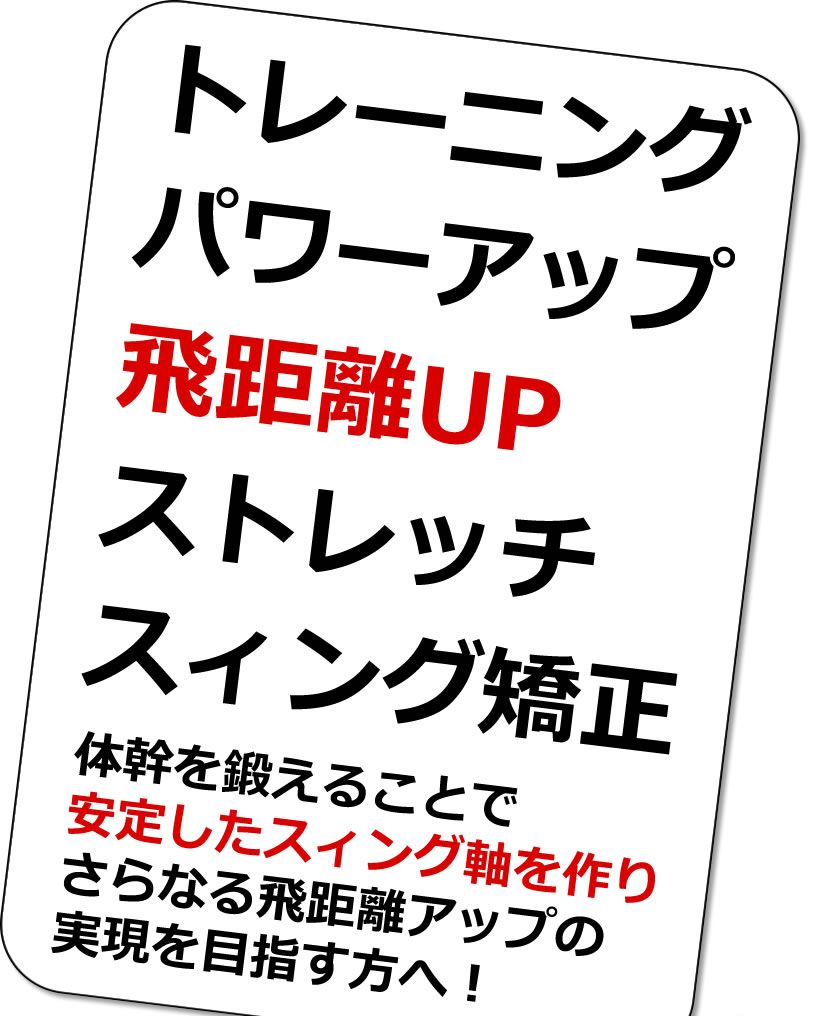 フォロー割実施中！(公式)ワールドイーグル WE PDSパワードッキー