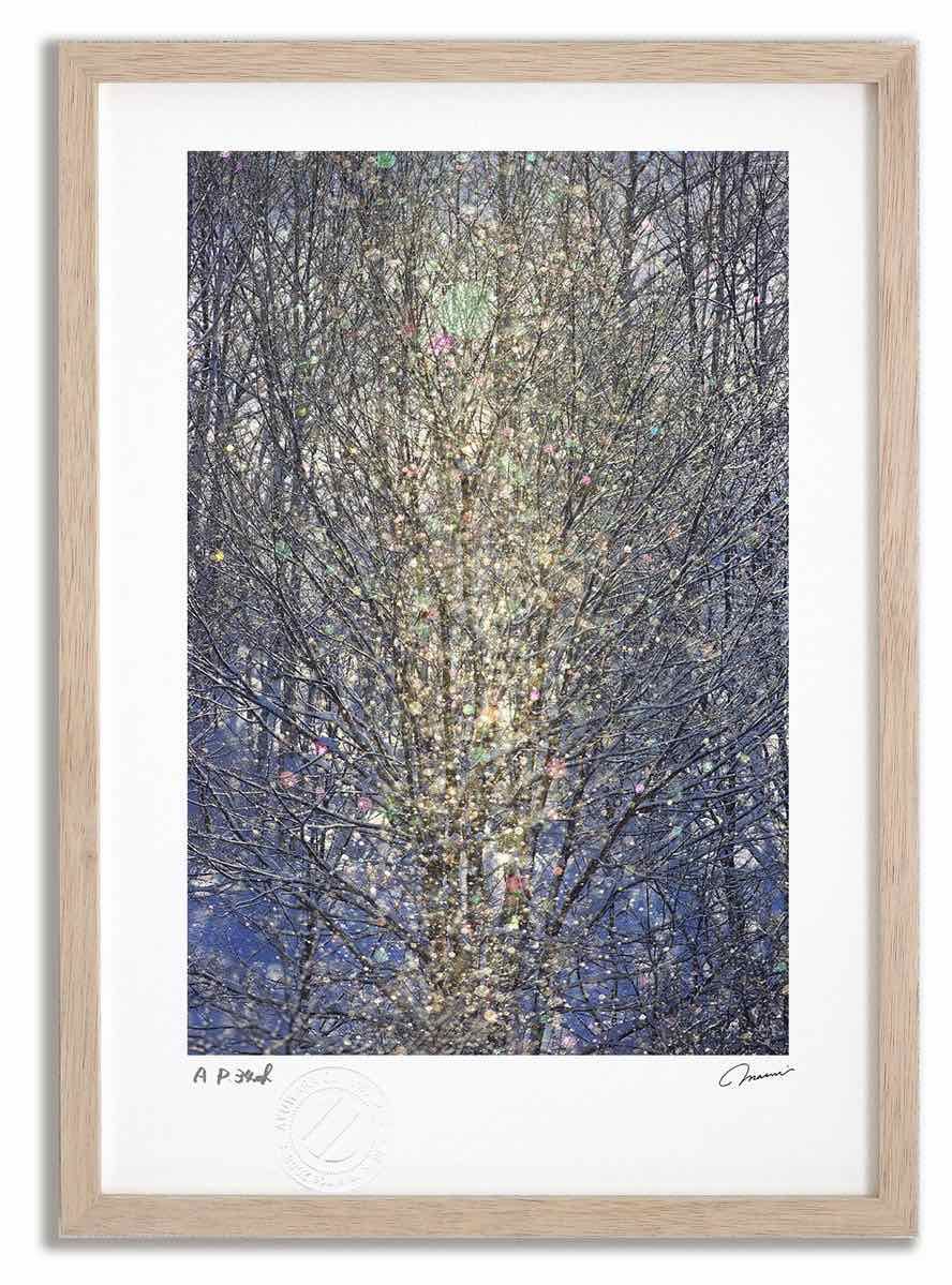 KREVA オリジナルAL,ベストAL,DVD 14点セット(ライブ銀テープ付) KREVA オリジナルAL,ベストAL,DVD 14点セット(ライブ銀テープ付)