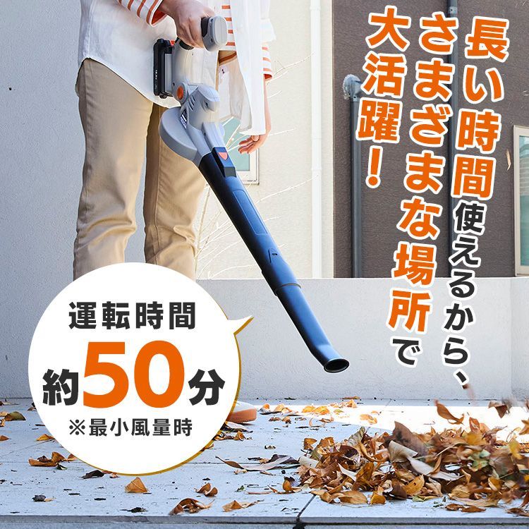 掃除 落ち葉