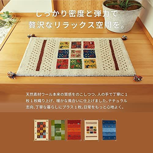 送料無料 】 約60X90cm Style: D19 萩原 ギャッベ マット 玄関マット