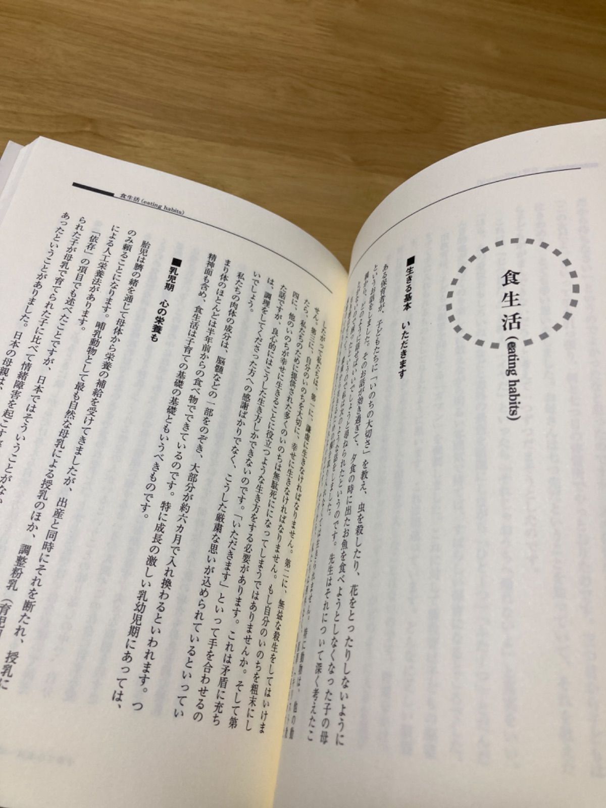 古本】「子育て小事典 幼児教育・保育のキーワード」 岸井 勇雄 - 古本