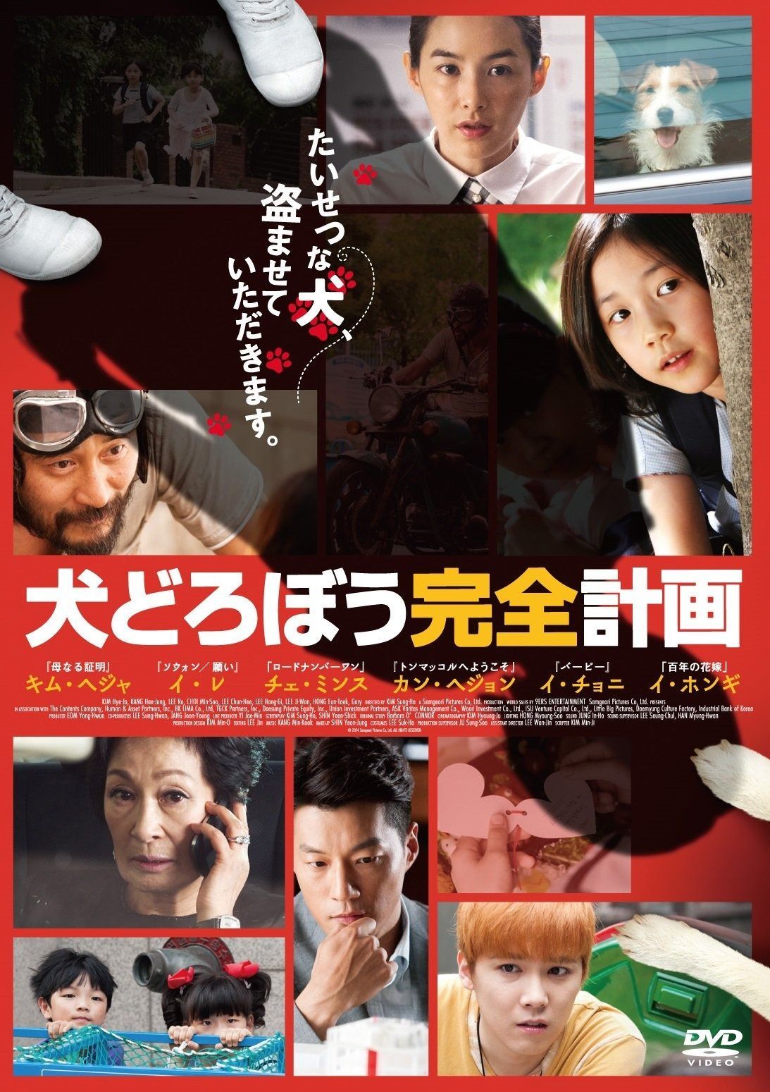 犬どろぼう完全計画 DVD